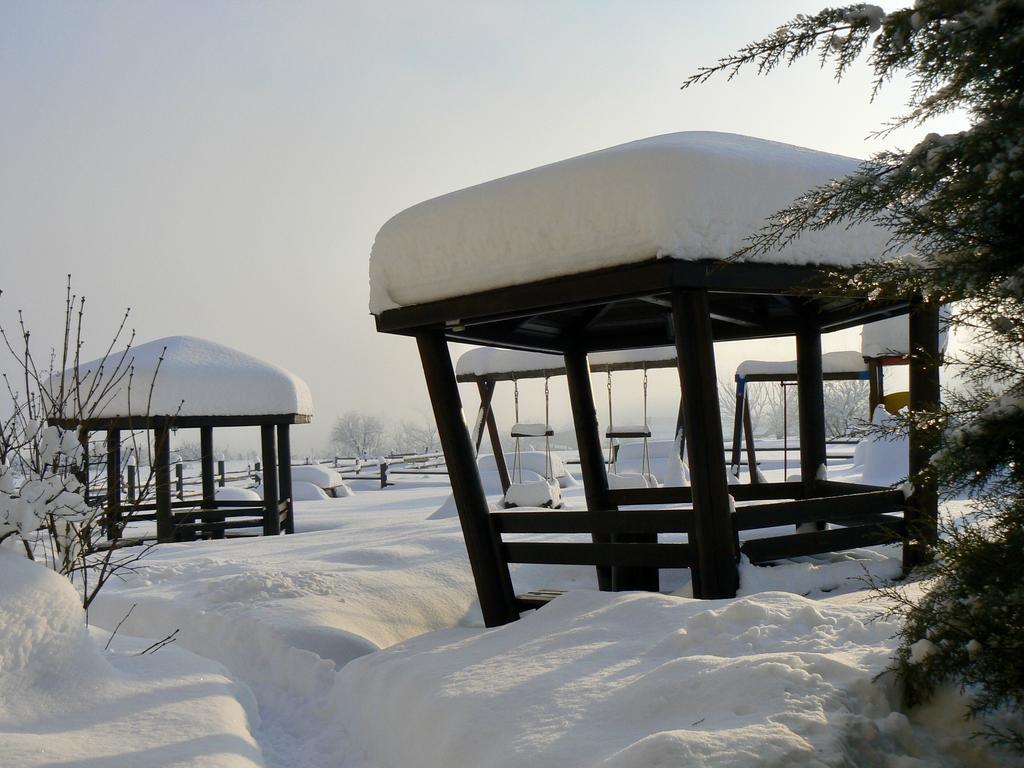 Hotel Orbel Добриниште Экстерьер фото